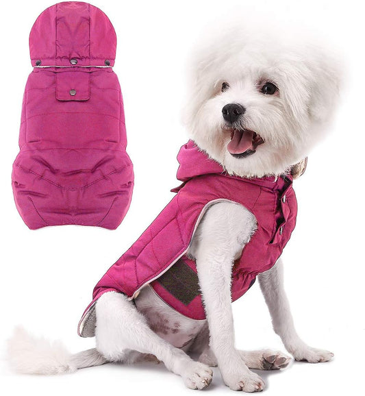 Premium Winter Dog Jacket - Snowproof, Windproof, and Waterproof Coat with Soft Fleece Lining and Thick Padding, Featuring a Detachable Hood for Small to Medium Dogs